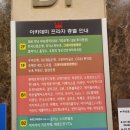 하이아이