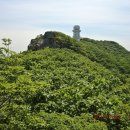 금산 티스토리