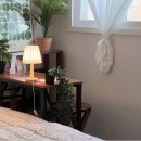 스테이카루 여성전용 이미지