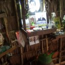 한동대학교 국제개발협력대학원 이미지