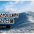 영주선식