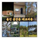 금강송테마전시관 | 울진 금강송 에코리움 1박2일 힐링 패키지(2), 세계최대 금강송 군락지 자연휴양림