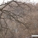 비룡민박 이미지