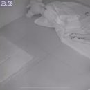 댕댕이 보호구역 이미지