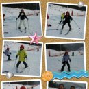 용인대석사체육관 이미지