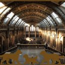 하나애견 이미지