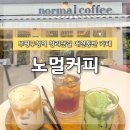 부평구청 애견동반 카페 노멀커피 아이스크림이 올라간 수제 음료 맛집