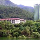 충주호리조트관광호텔 Daum카페