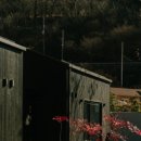 산운스테이 이미지