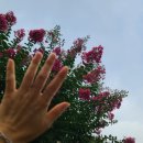 개비리길 펜션 이미지