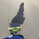 아몬드관광호텔 | 제주 중문 호텔 5성급 파르나스 제주에서 호캉스 조식 수영장 산책로 후기