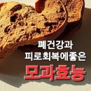 모과효능과 부작용, 함께 먹으면 안되는 식품 이미지