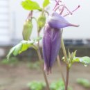 그림이있는 풍경 이미지