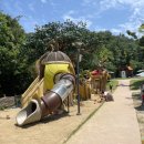 문수힐링피크닉장 이미지