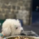 공원불고기 이미지