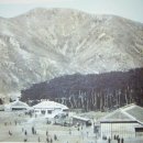 철마초등학교 이미지