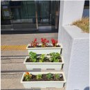 효자1동행정복지센터 이미지