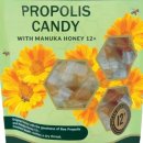 프로폴리스의 용도 이미지