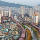 온천천 일대 이미지