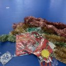 백운태권도 이미지