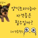 양식조리기능사 조리 실무 이론 이미지