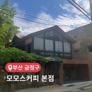 온천동 핫플 온천장카페 모모스커피 리모델링 재오픈 후 방문 후기