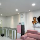 그루밍루나 이미지