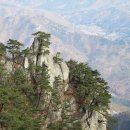 애기봉목장 이미지