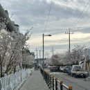 행정용 19번 | [공시생 일기] 국가직 후기