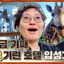 케냐 - 2라운드 Part1 🎲✈ │지구마불 세계여행2 이미지