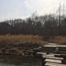 주정차단속-47 이미지