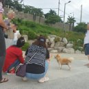 정옥례음악스튜디오