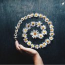 마음수련 이미지