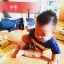 주완농장 네이버블로그