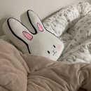 살림살이이불