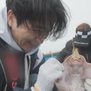 달리도 민박 이미지