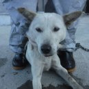 시흥상동로 이미지