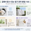 숲속애홈케어