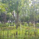 래미안밤섬리베뉴 1 상가 이미지