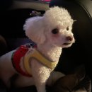 투독플레이스 이미지