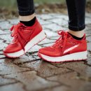 공존의 행복 이미지