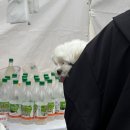 인형극축제 - 만들기 체험 | 2024 K-막걸리&amp;김치 축제 (= 청주 막걸리 축제) 후기 + 막걸리 만들기 체험 / 올해는..?