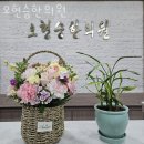 오현승한의원 이미지