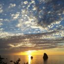 주식회사 다해 이미지