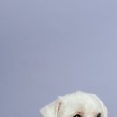 김민재동물병원 이미지