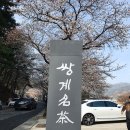밤톨상회 이미지