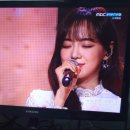 콩모니터링 이미지