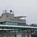 미정민박