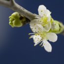 부천제일요양병원 이미지