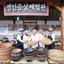 마이투어코리아 이미지